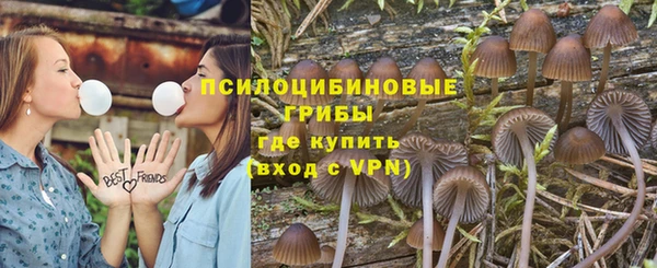 spice Балабаново