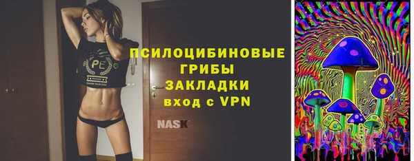 spice Балабаново